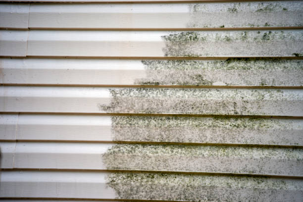 Best Shed Removal  in Edgewood, IN