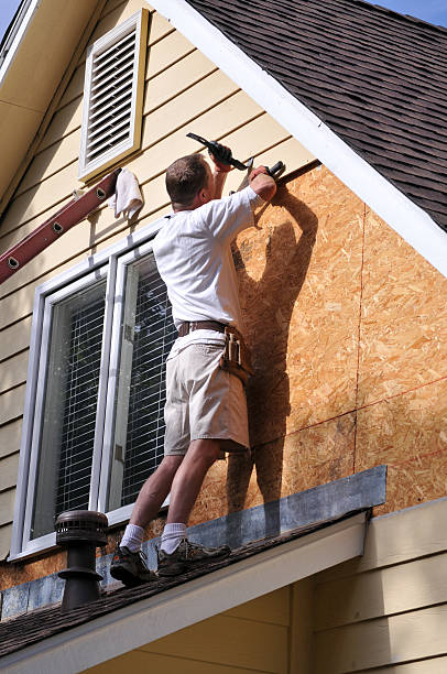 Best Carpet Removal and Disposal  in Edgewood, IN